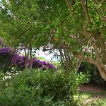 Fantastic Sardinia Con Giardino Fronte Mare Faho-gav01-gav02 Villa