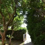 Villa Fantastic Sardinia Con Giardino Fronte Mare Faho-gav01-gav02 *