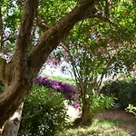 Villa Fantastic Sardinia Con Giardino Fronte Mare Faho-gav01-gav02