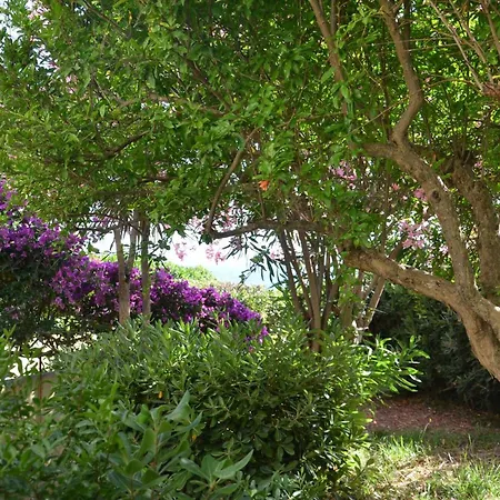 Fantastic Sardinia Con Giardino Fronte Mare Faho-gav01-gav02 Villa