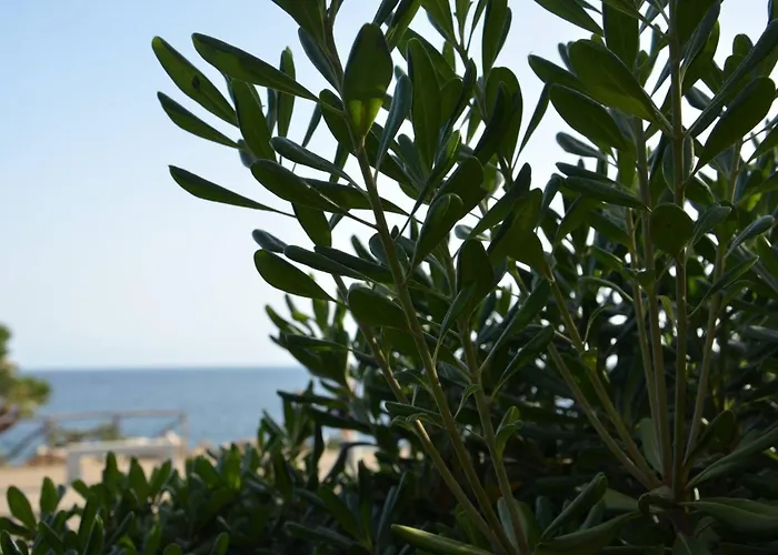 Fantastic Sardinia Con Giardino Fronte Mare Faho-gav01-gav02 * Фертилия