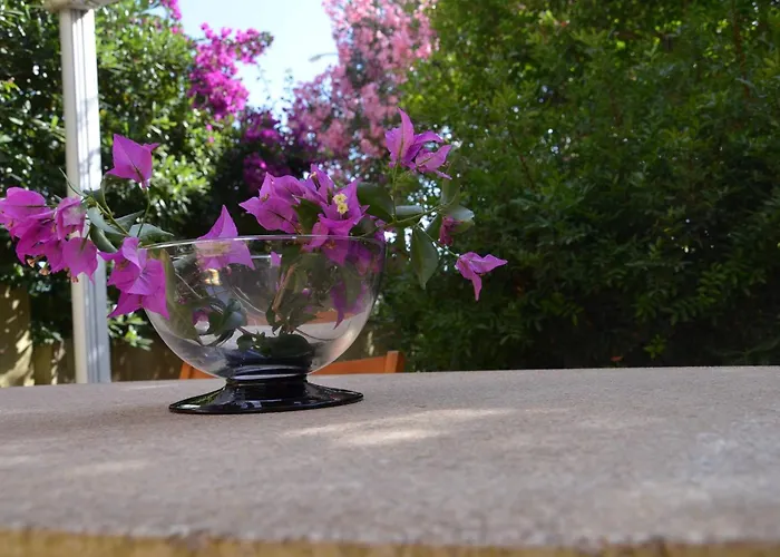 Вилла Fantastic Sardinia Con Giardino Fronte Mare Faho-gav01-gav02