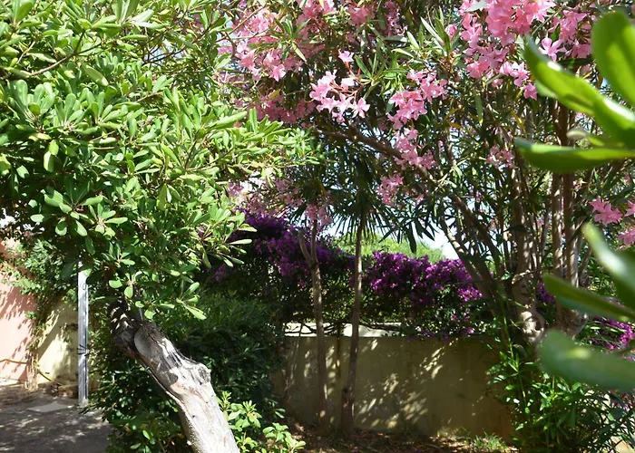 Fantastic Sardinia Con Giardino Fronte Mare Faho-gav01-gav02 Вилла Фертилия