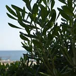 Fantastic Sardinia Con Giardino Fronte Mare Faho-gav01-gav02 * Fertilia