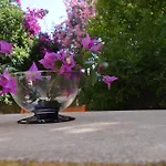 Alpehytte Fantastic Sardinia Con Giardino Fronte Mare Faho-gav01-gav02