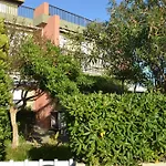 Alpehytte Fantastic Sardinia Con Giardino Fronte Mare Faho-gav01-gav02 Fertilia