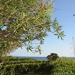 Fantastic Sardinia Con Giardino Fronte Mare Faho-gav01-gav02 Alpehytte