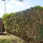 Fantastic Sardinia Con Giardino Fronte Mare Faho-gav01-gav02 شاليه فيرتيليا