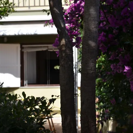Fantastic Sardinia Con Giardino Fronte Mare Faho-gav01-gav02 费尔蒂利亚