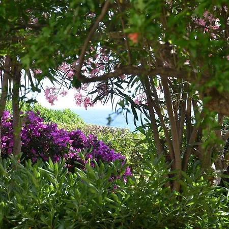 Willa Fantastic Sardinia Con Giardino Fronte Mare Faho-gav01-gav02 Fertilia