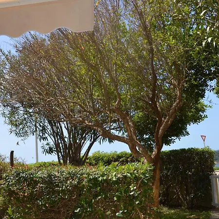 Villa Fantastic Sardinia Con Giardino Fronte Mare Faho-gav01-gav02 Fertilia