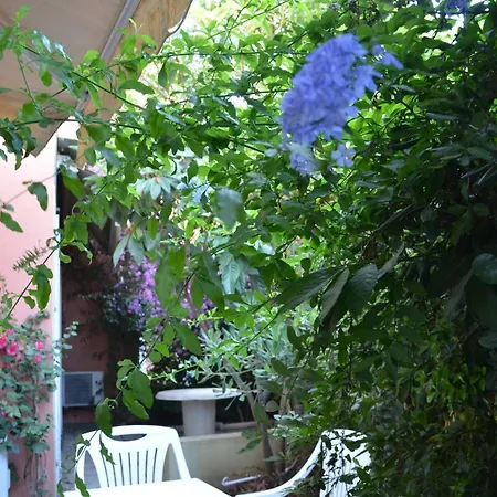 Fantastic Sardinia Con Giardino Fronte Mare Faho-gav01-gav02 *