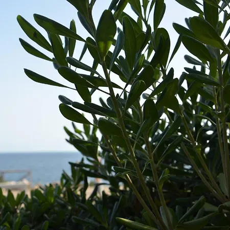 Fantastic Sardinia Con Giardino Fronte Mare Faho-gav01-gav02 * Fertilia