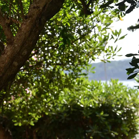 Fantastic Sardinia Con Giardino Fronte Mare Faho-gav01-gav02 *