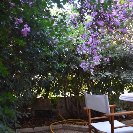Fantastic Sardinia Con Giardino Fronte Mare Faho-gav01-gav02 Fertilia