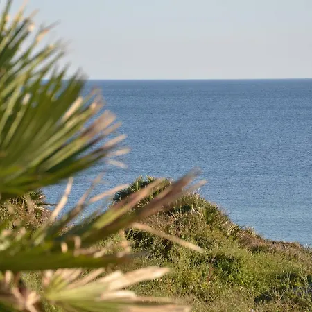 Fantastic Sardinia Con Giardino Fronte Mare Faho-gav01-gav02 Chalet Fertilia