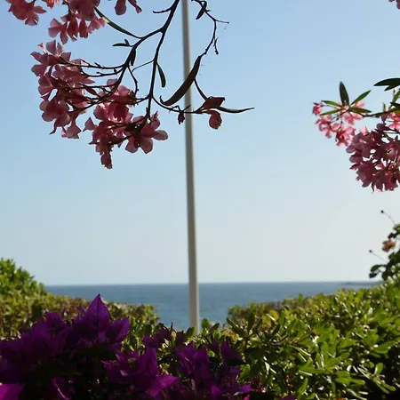 Villa Fantastic Sardinia Con Giardino Fronte Mare Faho-gav01-gav02 *