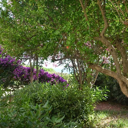 Fantastic Sardinia Con Giardino Fronte Mare Faho-gav01-gav02 Villa