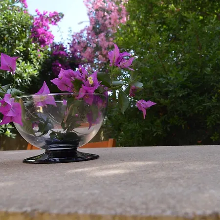 Willa Fantastic Sardinia Con Giardino Fronte Mare Faho-gav01-gav02