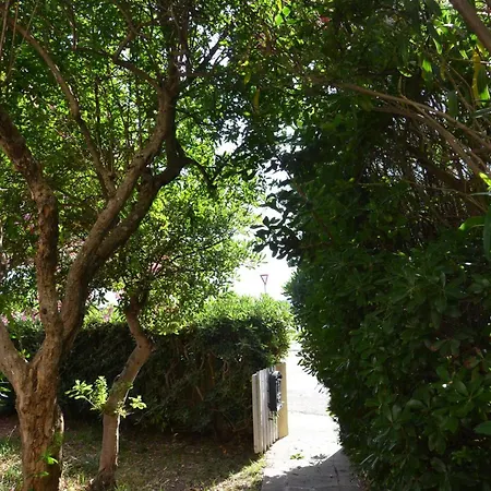 Villa Fantastic Sardinia Con Giardino Fronte Mare Faho-gav01-gav02 *