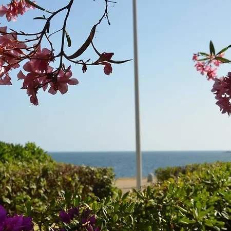 Fantastic Sardinia Con Giardino Fronte Mare Faho-gav01-gav02 * Fertilia