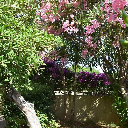Fantastic Sardinia Con Giardino Fronte Mare Faho-gav01-gav02 Villa Fertilia
