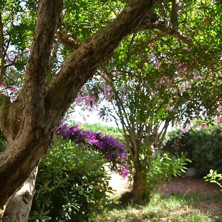Willa Fantastic Sardinia Con Giardino Fronte Mare Faho-gav01-gav02