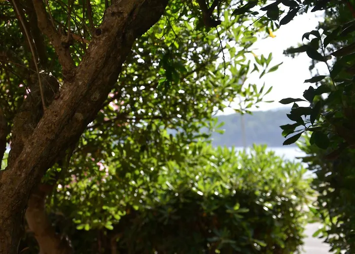 Fantastic Sardinia Con Giardino Fronte Mare Faho-gav01-gav02 *