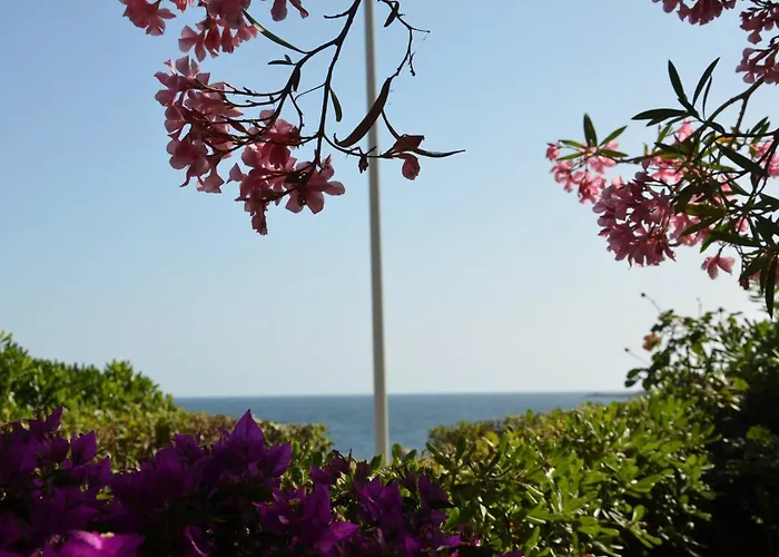 ヴィラ Fantastic Sardinia Con Giardino Fronte Mare Faho-gav01-gav02 *