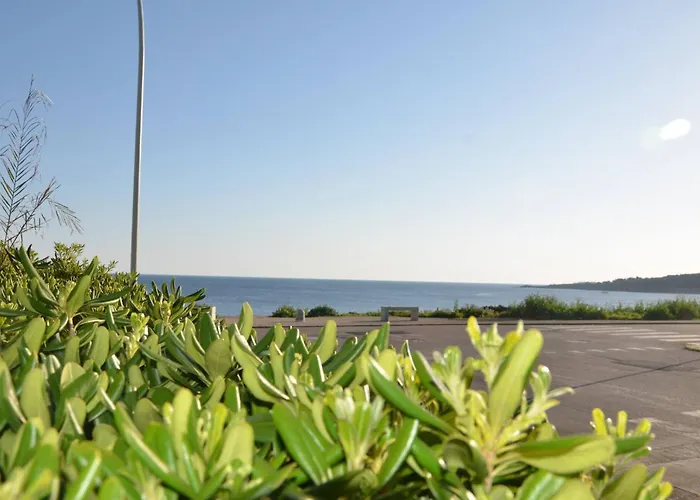 Fantastic Sardinia Con Giardino Fronte Mare Faho-gav01-gav02