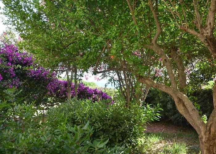 Fantastic Sardinia Con Giardino Fronte Mare Faho-gav01-gav02 ヴィラ