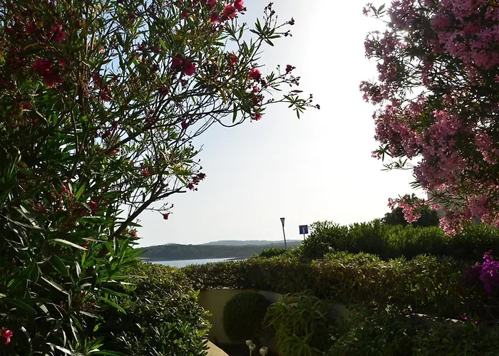 Fantastic Sardinia Con Giardino Fronte Mare Faho-gav01-gav02 *