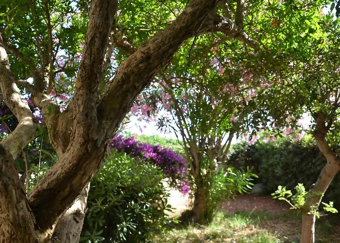ヴィラ Fantastic Sardinia Con Giardino Fronte Mare Faho-gav01-gav02